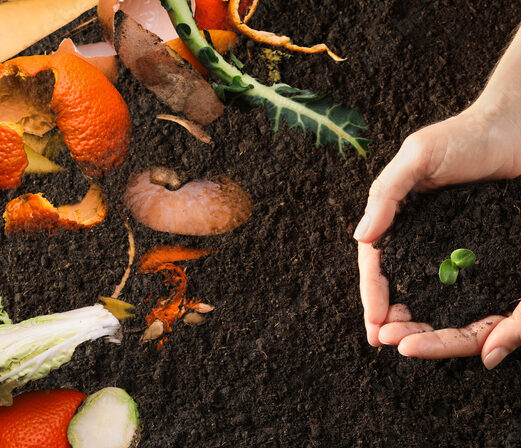 TRI A LA SOURCE DES BIODECHETS J 15 AGEC SA